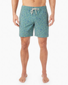 Bayberry Trunk