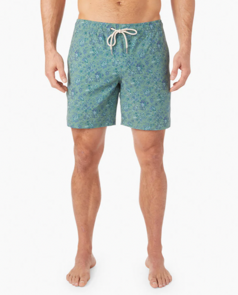 Bayberry Trunk