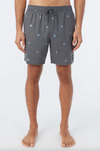 OG Volley Boardshort