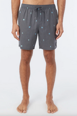 OG Volley Boardshort
