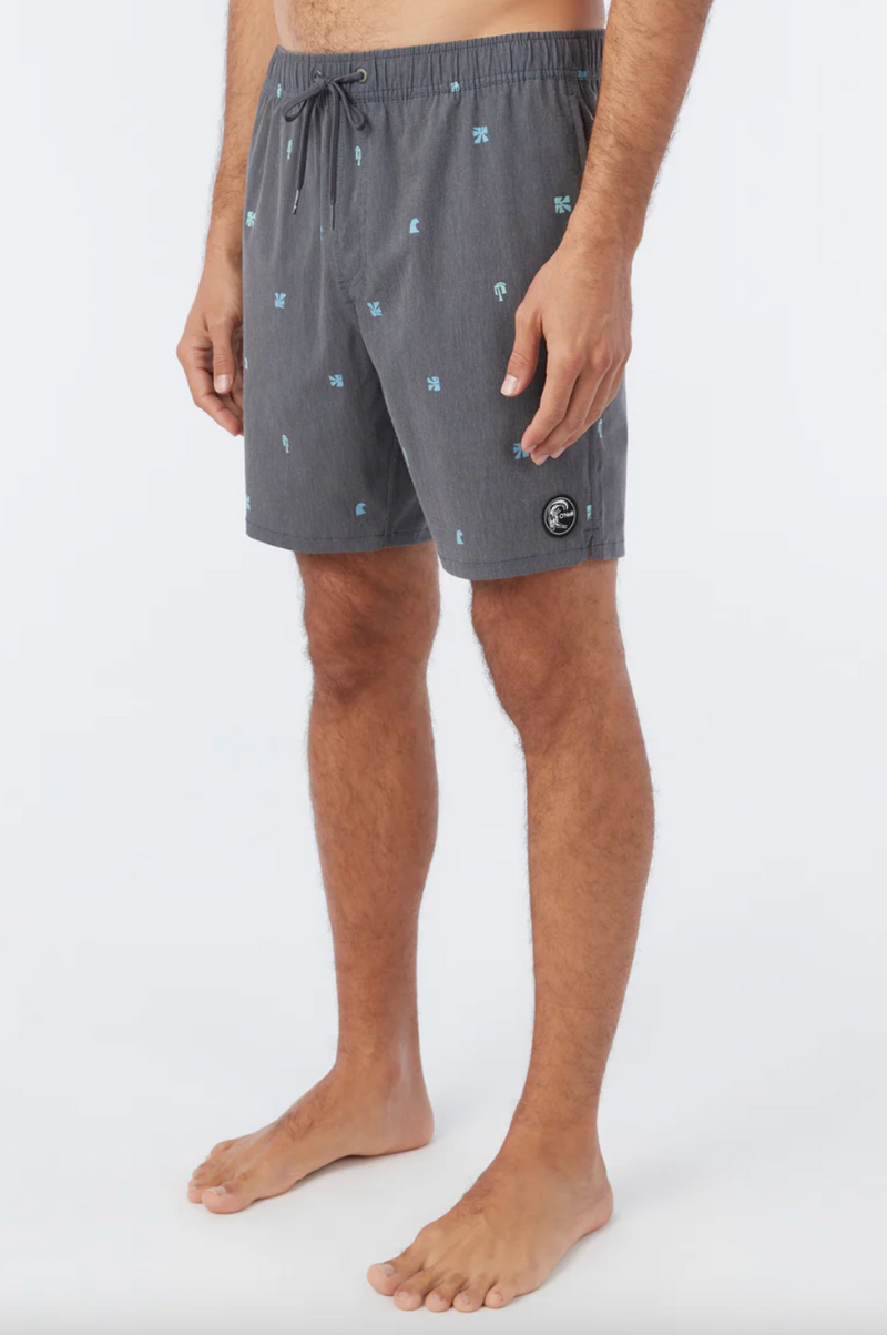 OG Volley Boardshort
