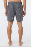 OG Volley Boardshort