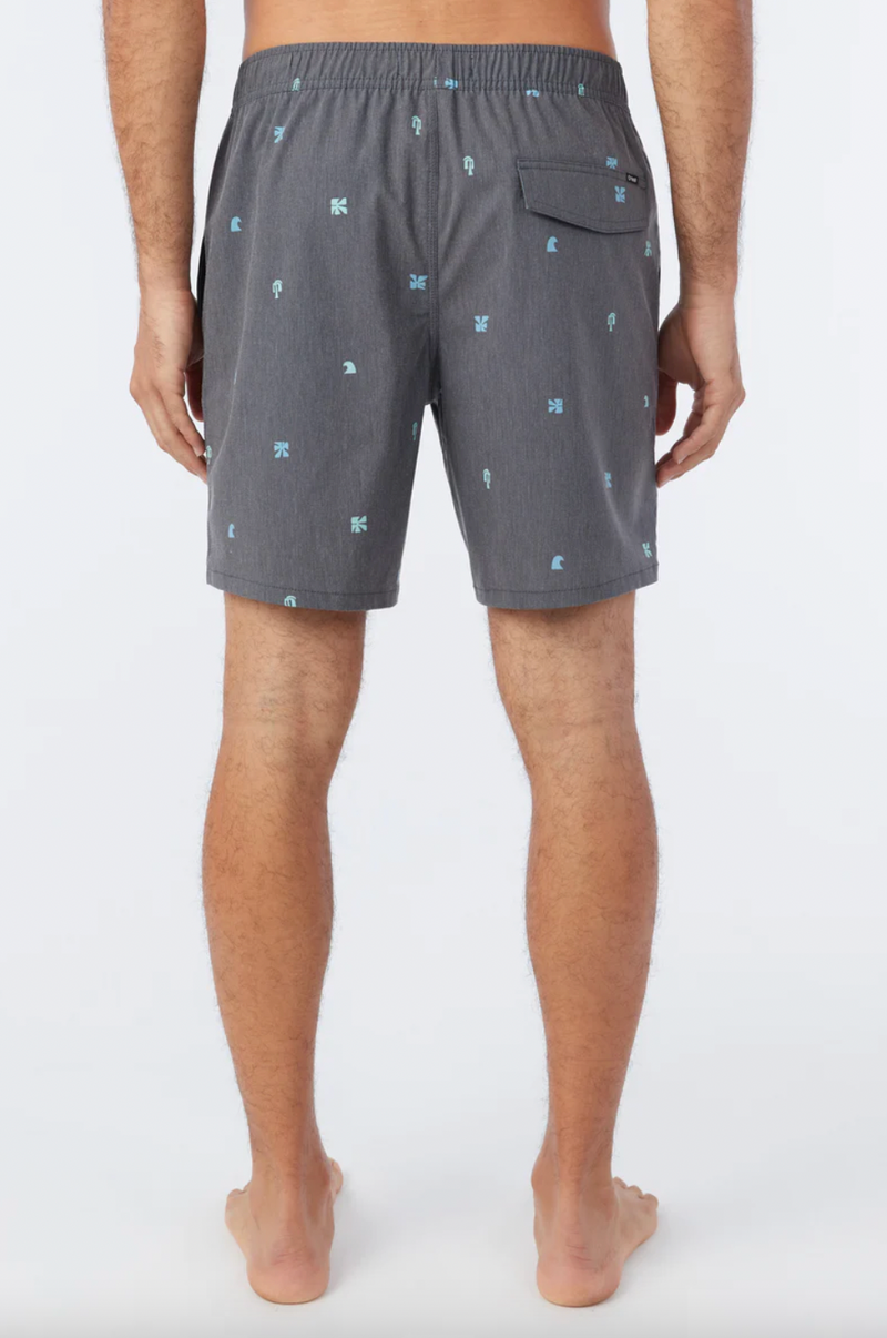 OG Volley Boardshort