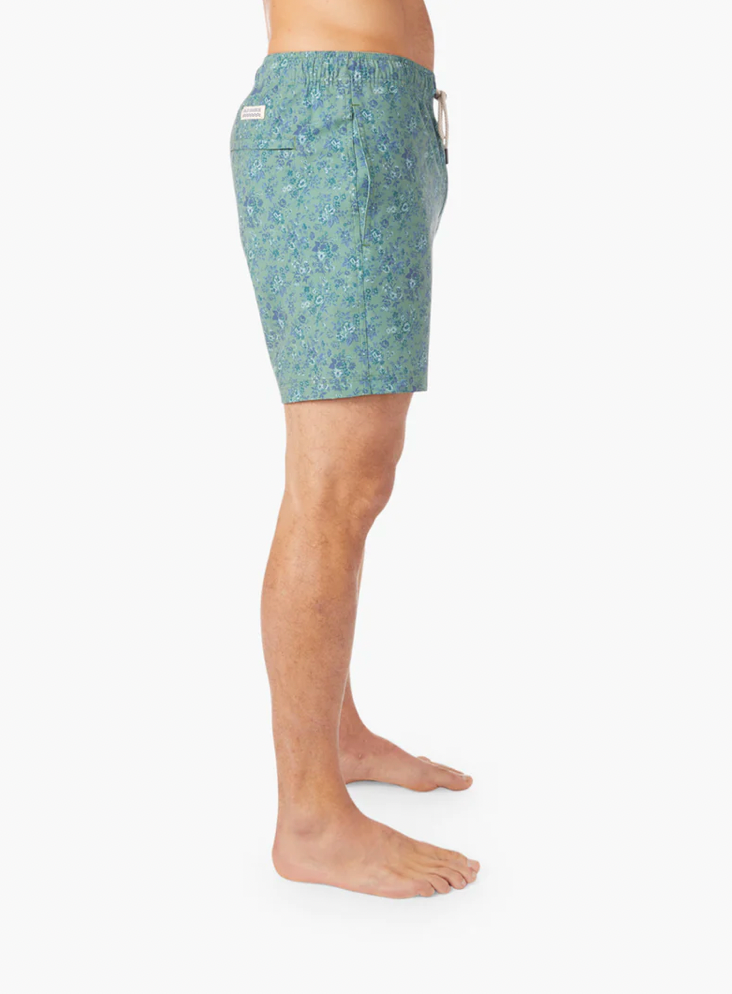 Bayberry Trunk