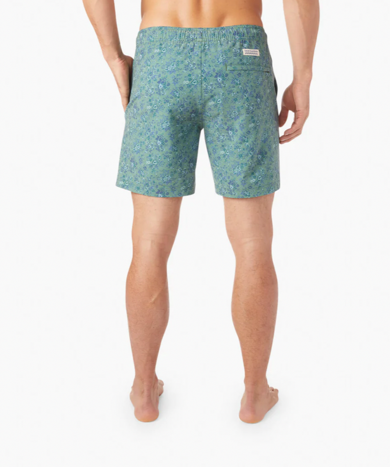 Bayberry Trunk
