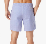 The Bayberry Trunk