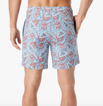The Bayberry Trunk