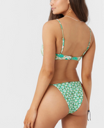 Shell Abstract Redondo Reversible Bottom