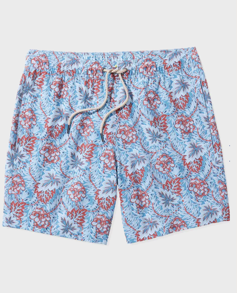 The Bayberry Trunk